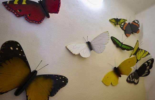 Casa de 2 quartos em Zlatá Olešnice com jardim e terraço - Foto 19