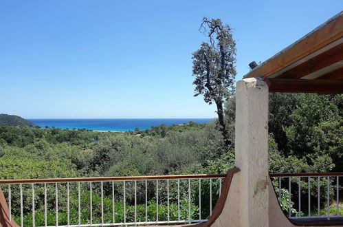 Photo 3 - Maison de 1 chambre à Zonza avec piscine et jardin