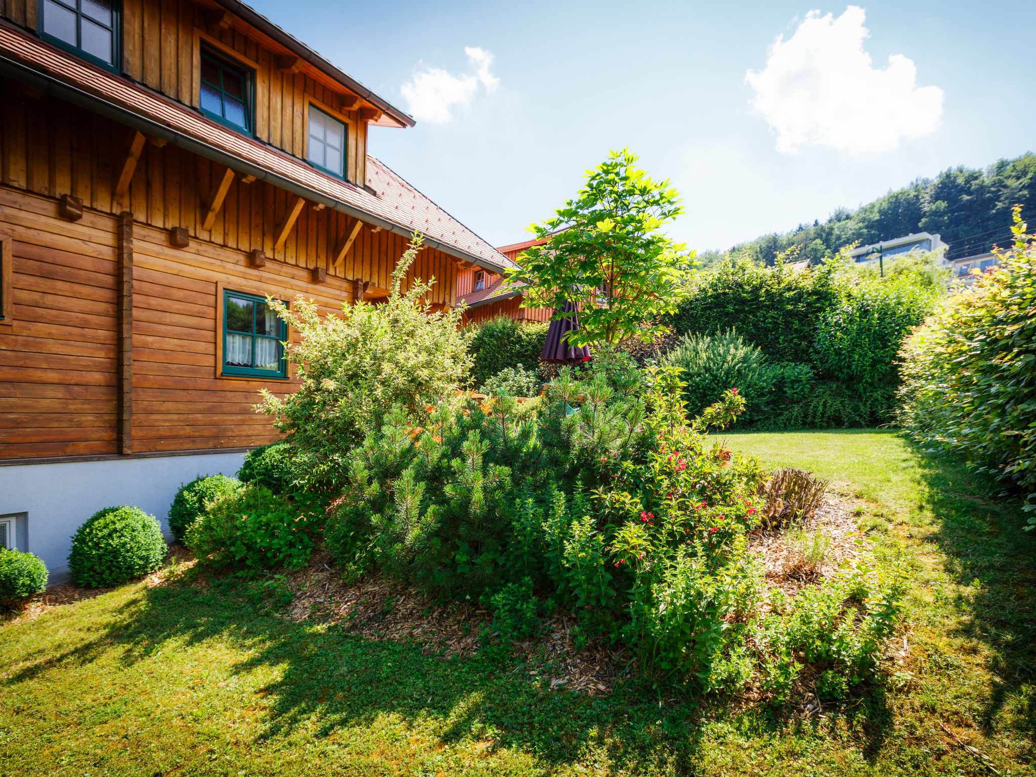 Foto 32 - Casa con 3 camere da letto a Schlierbach con piscina e terrazza