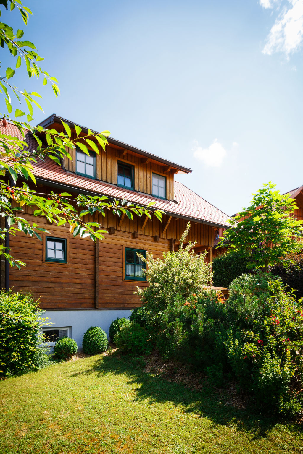 Foto 33 - Casa de 3 quartos em Schlierbach com piscina e terraço