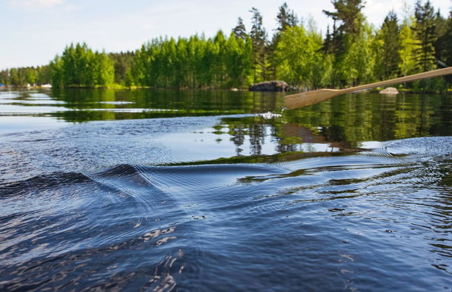 Maison de 2 chambres à Puumala - Photo 19