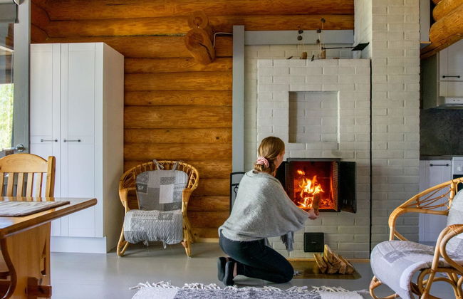 Maison de 2 chambres à Puumala - Photo 9