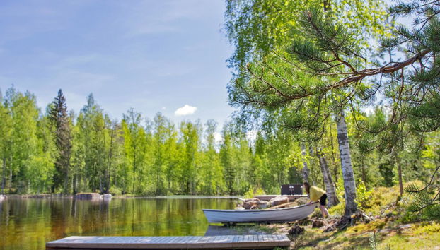Maison de 2 chambres à Puumala - Photo 5