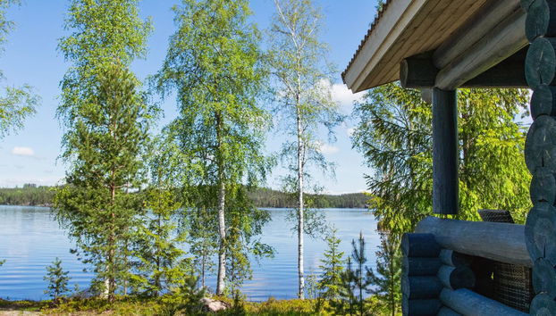 Maison de 2 chambres à Puumala - Photo 3