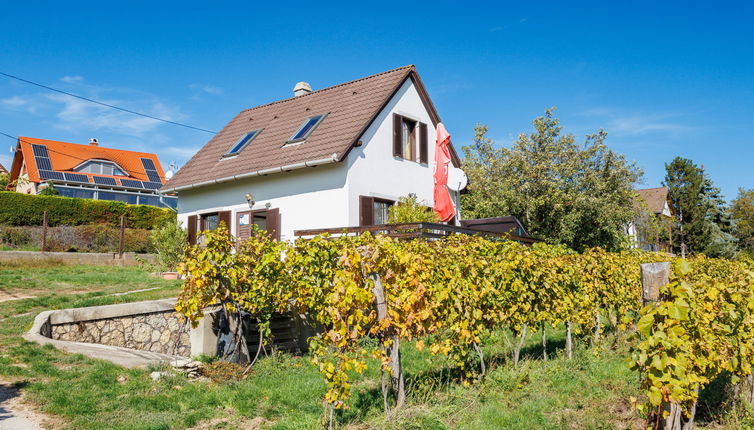 Foto 1 - Casa con 2 camere da letto a Felsőörs con giardino e terrazza