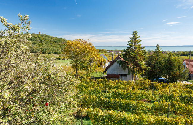 Casa de 2 quartos em Felsőörs com jardim e terraço - Foto 20