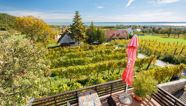 Maison de 2 chambres à Felsőörs avec jardin et terrasse - Photo 3