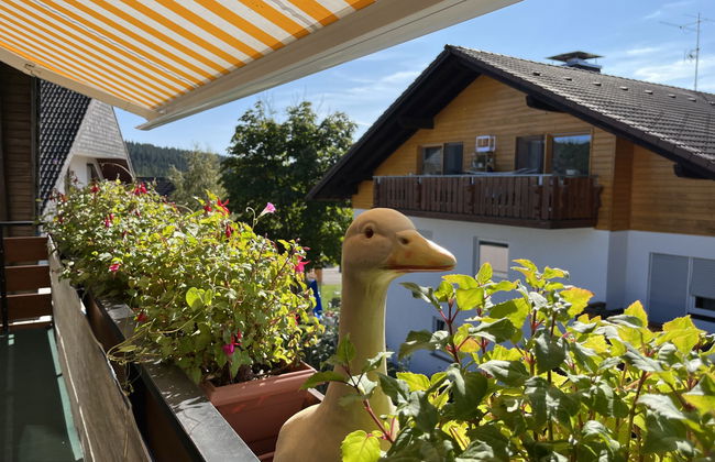Apartamento de 3 quartos em Schluchsee com terraço - Foto 9