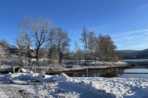 Foto 42 - Apartment mit 3 Schlafzimmern in Schluchsee mit garten und blick auf die berge