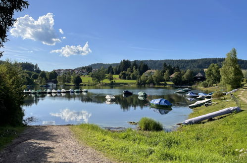 Foto 41 - Apartamento de 3 habitaciones en Schluchsee con jardín y vistas a la montaña