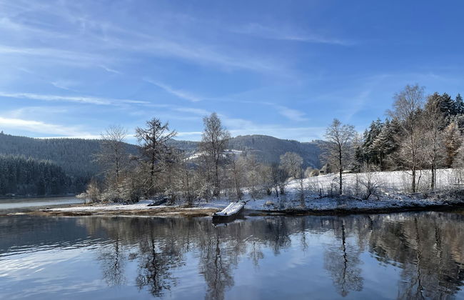 Apartamento de 2 quartos em Schluchsee com piscina e jardim - Foto 47