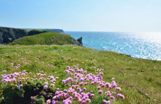 Foto 3 - Haus mit 3 Schlafzimmern in Padstow mit garten und blick aufs meer