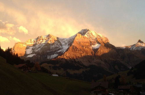 Photo 13 - Appartement de 2 chambres à Adelboden avec jardin