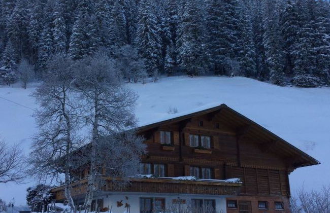 Apartamento de 2 quartos em Adelboden com jardim - Foto 55