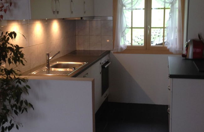 Apartamento de 2 quartos em Adelboden com jardim - Foto 22