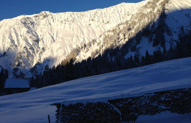 Apartamento de 2 quartos em Adelboden com jardim - Foto 52