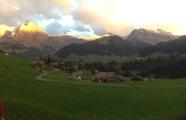 Apartamento de 2 quartos em Adelboden com jardim - Foto 10