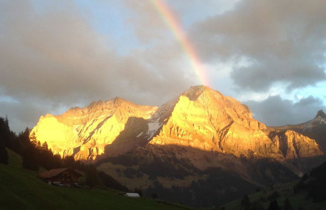 Apartamento de 2 quartos em Adelboden com jardim - Foto 14