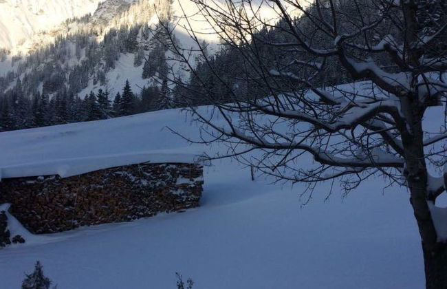 Apartamento de 2 quartos em Adelboden com jardim - Foto 9