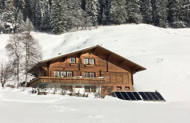 Apartamento de 2 quartos em Adelboden com jardim - Foto 1