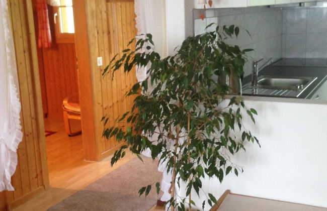 Apartamento de 2 quartos em Adelboden com jardim - Foto 38