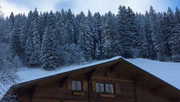 Apartamento de 2 quartos em Adelboden com jardim - Foto 3