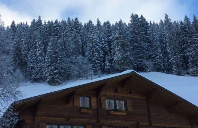 Apartamento de 2 quartos em Adelboden com jardim - Foto 3