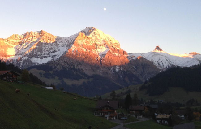 Apartamento de 2 quartos em Adelboden com jardim - Foto 12