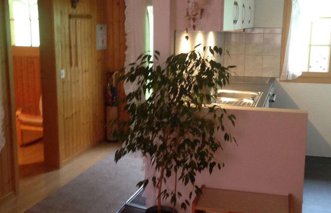 Apartamento de 2 quartos em Adelboden com jardim - Foto 40