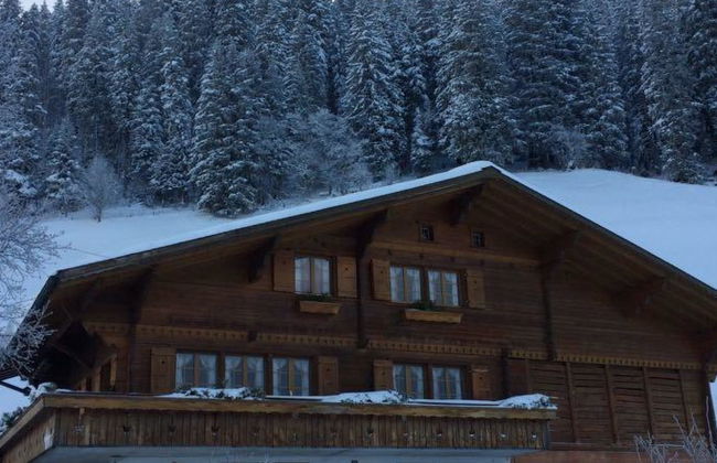 Apartamento de 2 quartos em Adelboden com jardim - Foto 54