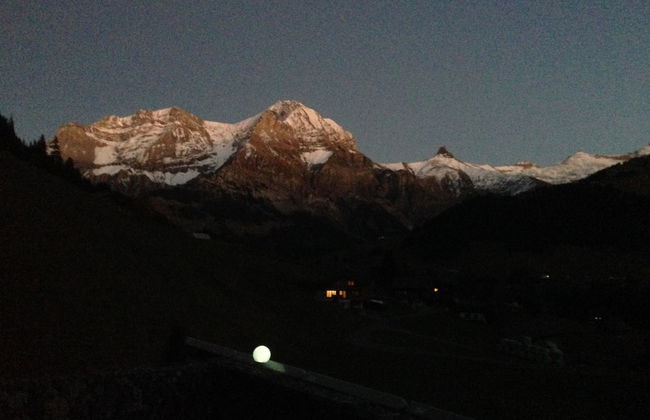 Apartamento de 2 quartos em Adelboden com jardim - Foto 18