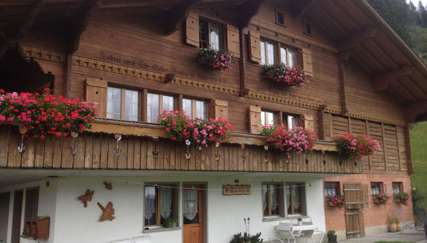 Apartamento de 2 quartos em Adelboden com jardim - Foto 4