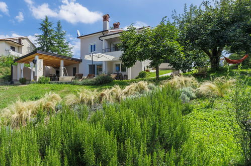 Foto 33 - Casa con 2 camere da letto a Cerovlje con piscina privata e terrazza