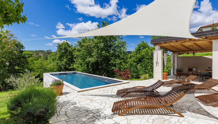 Foto 1 - Casa con 2 camere da letto a Cerovlje con piscina privata e giardino
