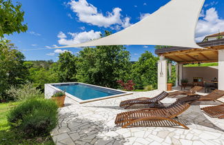 Photo 1 - 2 bedroom House in Cerovlje with private pool and garden