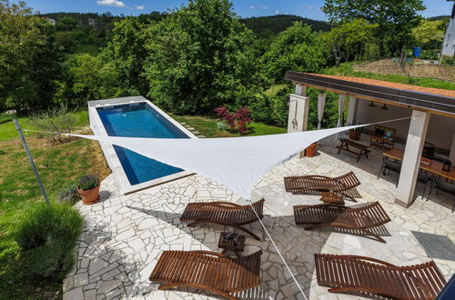 Foto 40 - Casa con 2 camere da letto a Cerovlje con piscina privata e giardino