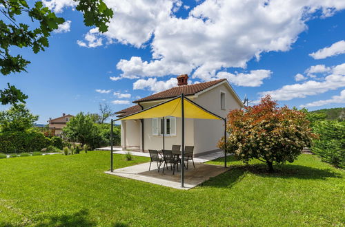 Foto 22 - Casa con 2 camere da letto a Cerovlje con piscina privata e giardino