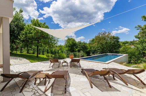 Foto 17 - Casa con 2 camere da letto a Cerovlje con piscina privata e giardino