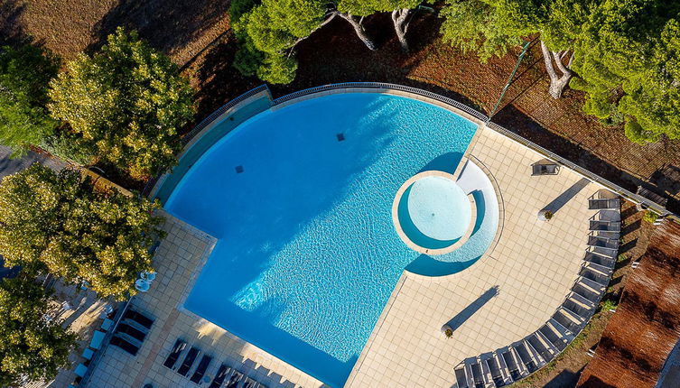 Foto 1 - Apartamento de 2 quartos em Saumane-de-Vaucluse com piscina e jardim