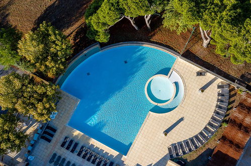 Foto 1 - Appartamento con 2 camere da letto a Saumane-de-Vaucluse con piscina e giardino