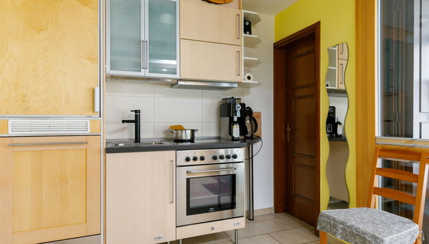 Apartamento de 1 quarto em Silvaplana com jardim e terraço - Foto 4