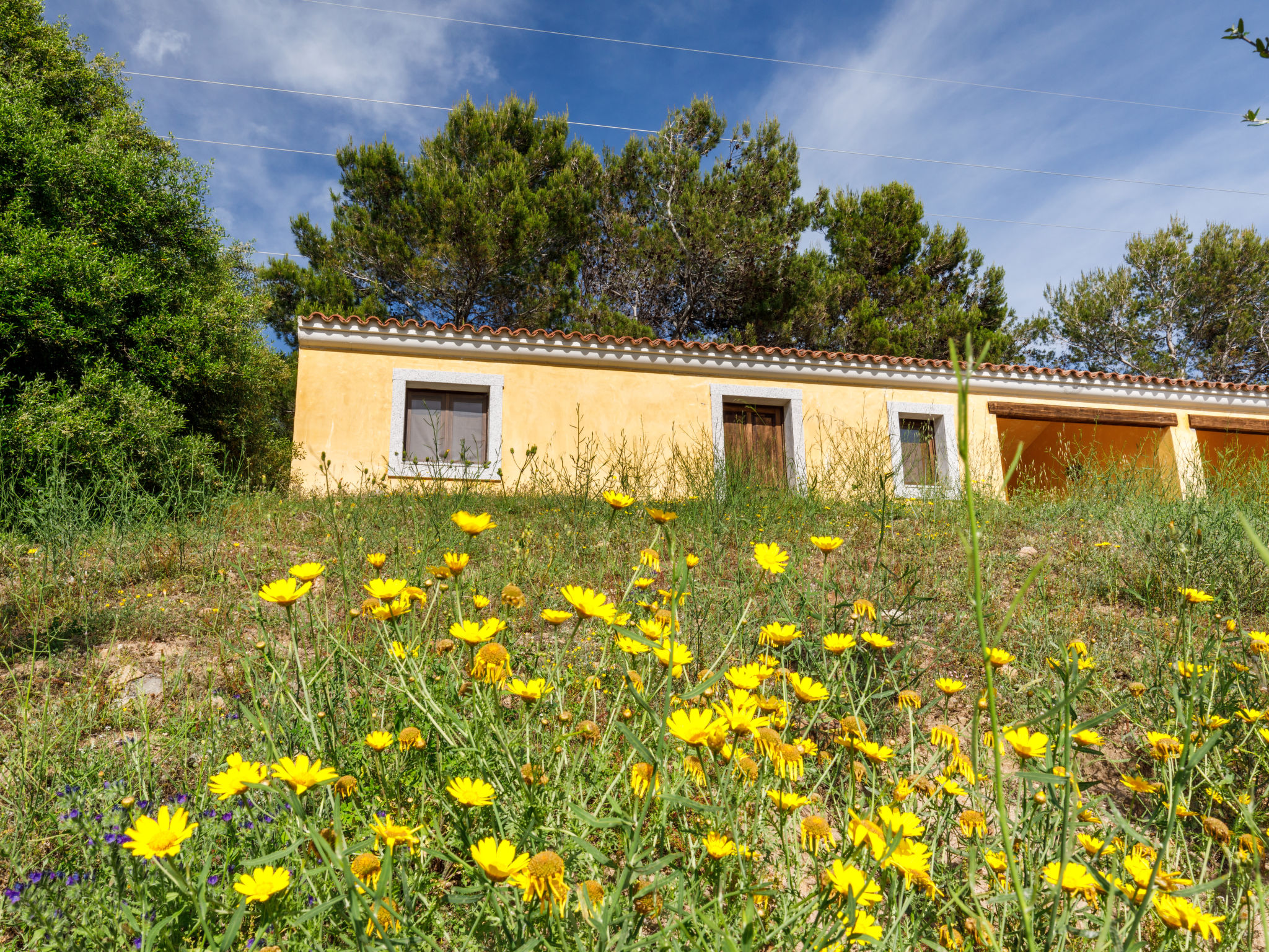 Foto 4 - Casa de 1 quarto em Badesi com piscina e jardim