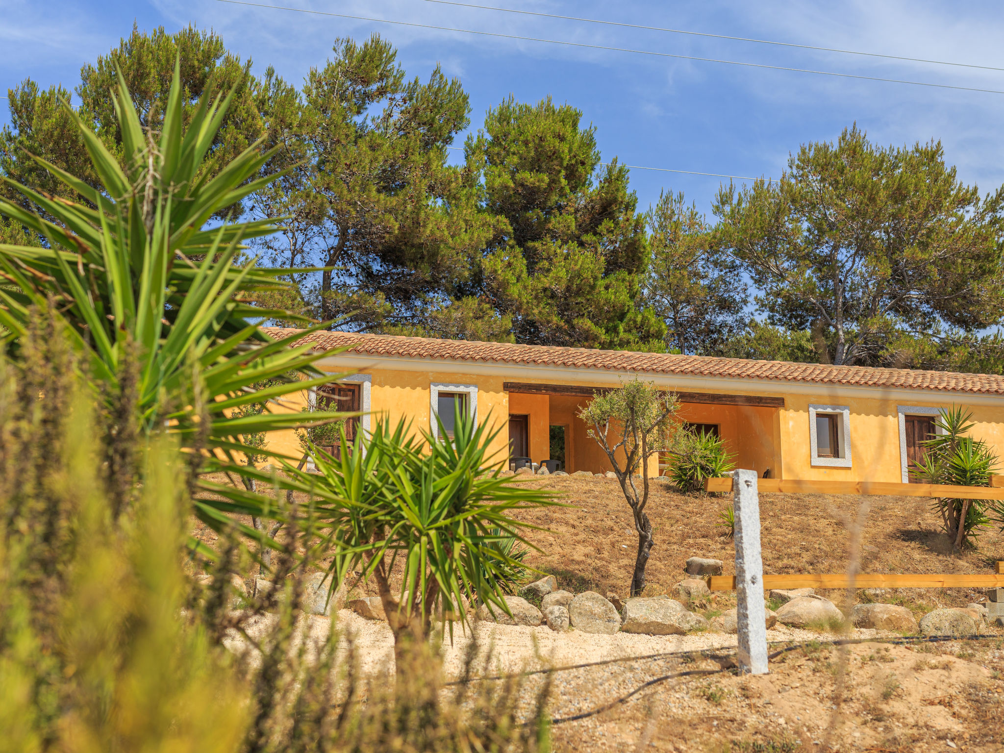 Photo 19 - Maison de 1 chambre à Badesi avec piscine et jardin