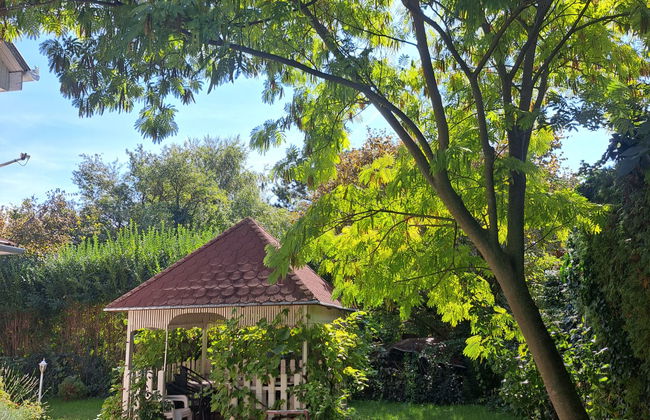 Casa de 3 quartos em Balatonfenyves com jardim e terraço - Foto 24