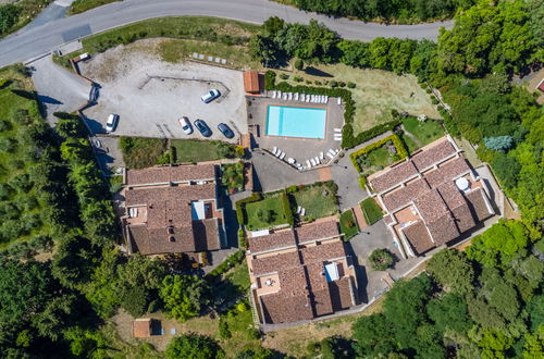 Foto 33 - Apartamento de 1 quarto em Riparbella com piscina e jardim