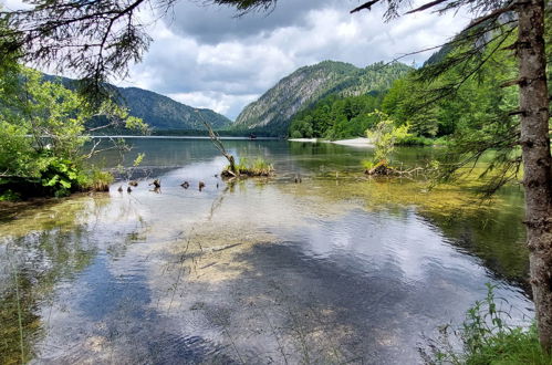 Foto 6 - Apartamento de 4 quartos em Grünau im Almtal com vista para a montanha