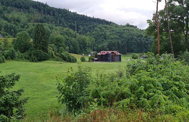 Apartamento de 4 quartos em Grünau im Almtal com jardim - Foto 60