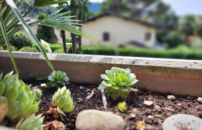 Apartamento de 2 quartos em Caslano com piscina e jardim - Foto 19