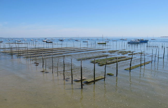 Apartamento de 1 quarto em Lège-Cap-Ferret com terraço - Foto 17