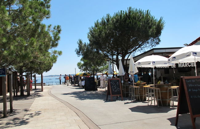 Apartamento de 1 quarto em Lège-Cap-Ferret com terraço - Foto 15